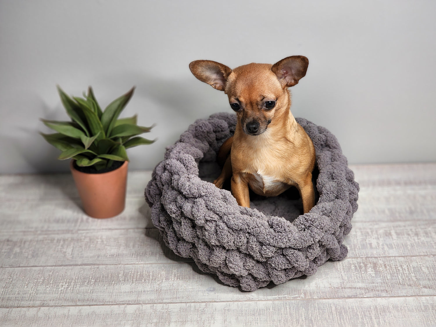 Pet Beds