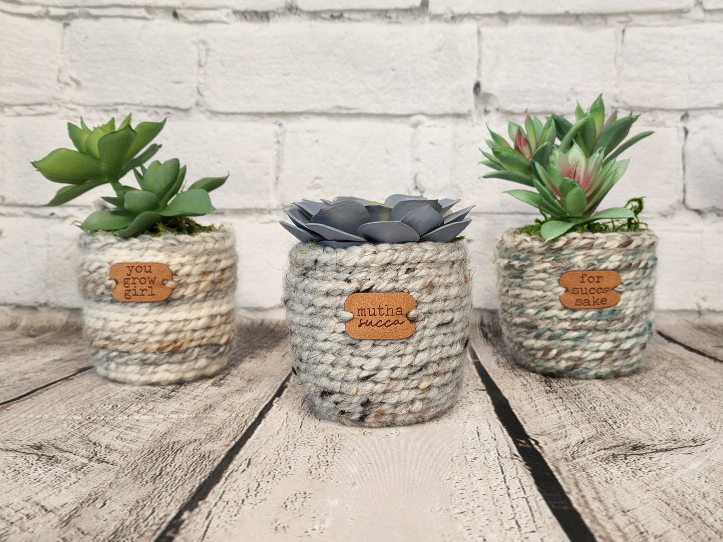 Sassyplants!