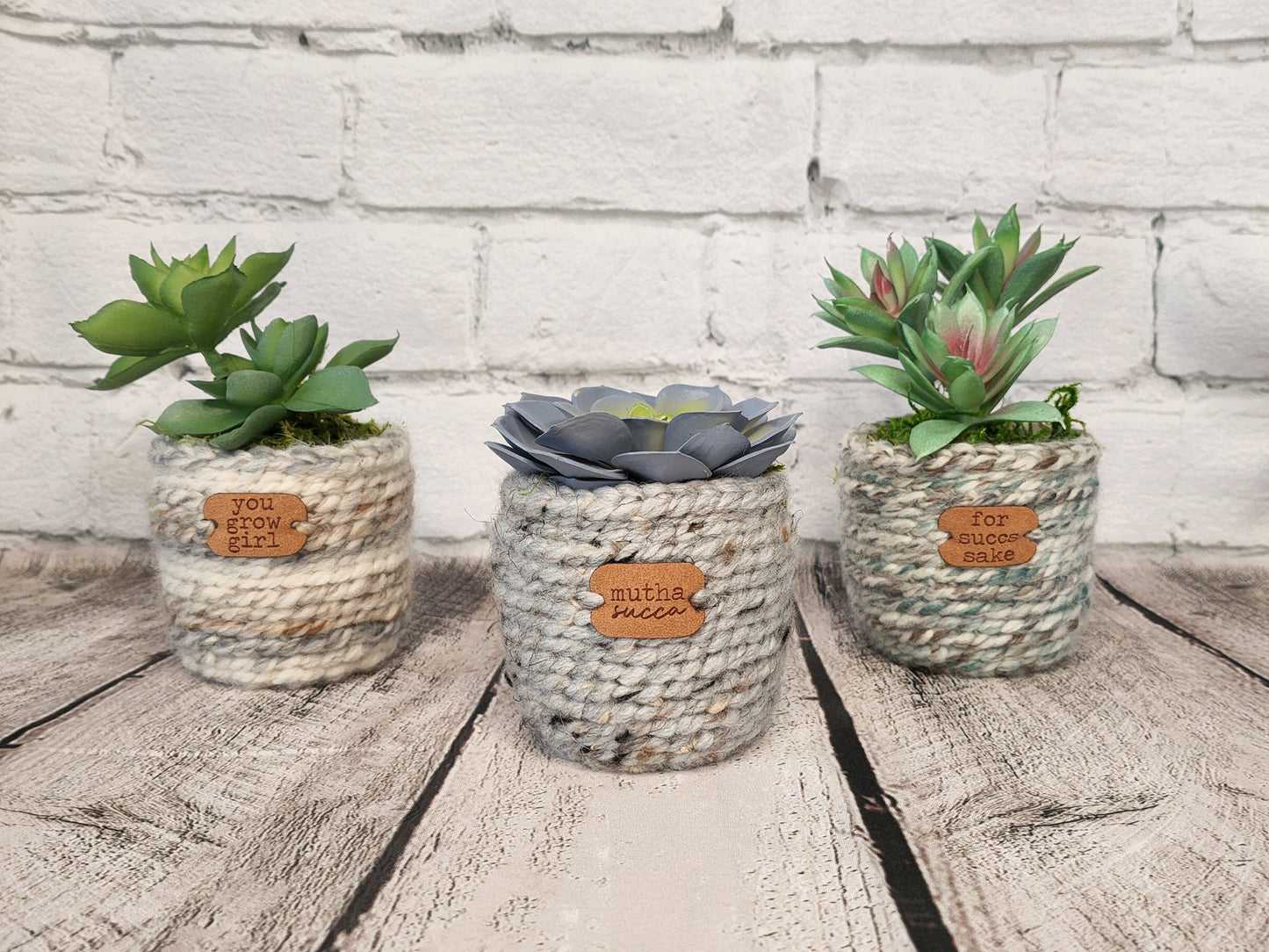 Sassyplants!