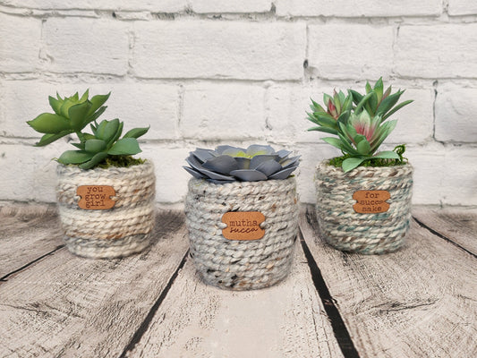Sassyplants!