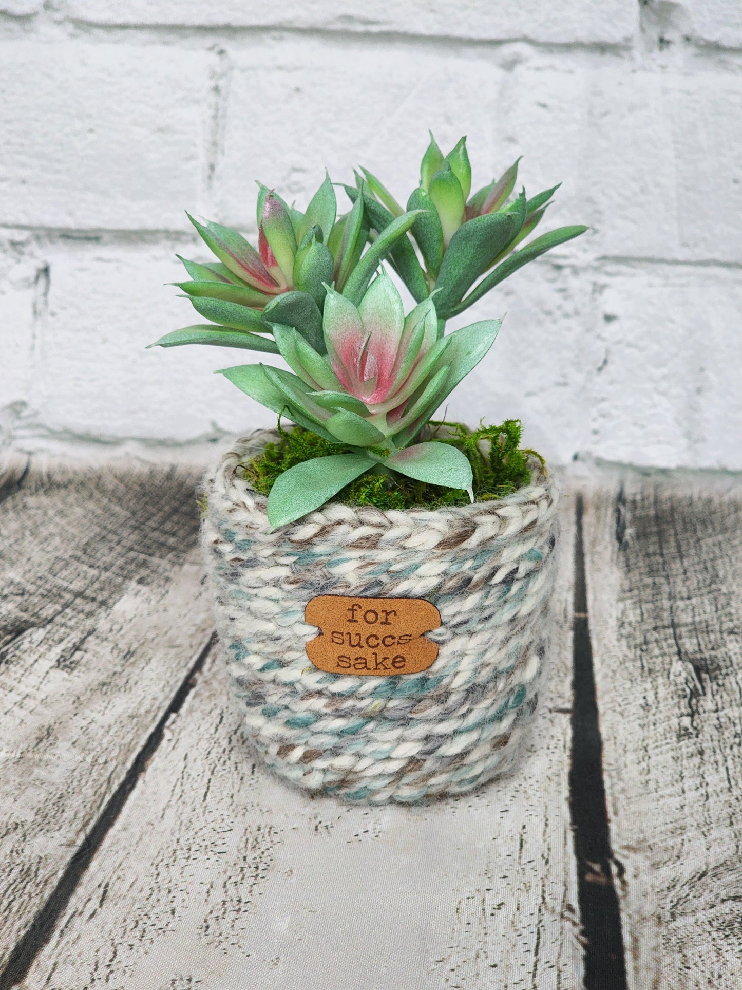 Sassyplants!